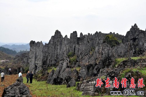 �Sƽ�������l�F��ǧ�����ͪ���ʯ�֣��M�D��