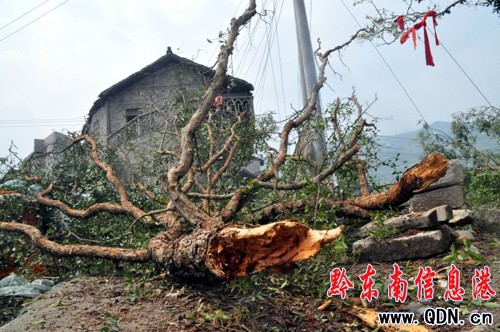 臺(tái)江罕見(jiàn)冰雹25人受傷 治療費(fèi)用政府“買單”