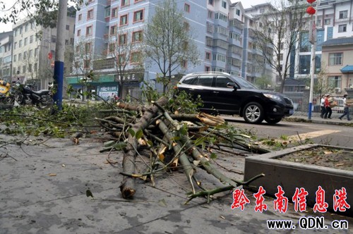 臺江罕見冰雹25人受傷 治療費用政府“買單”