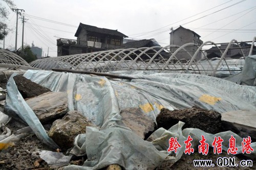 臺江罕見冰雹25人受傷 治療費用政府“買單”