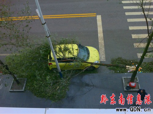 �_����Ҋ����25���܂� �ί��M���������I�Ρ�