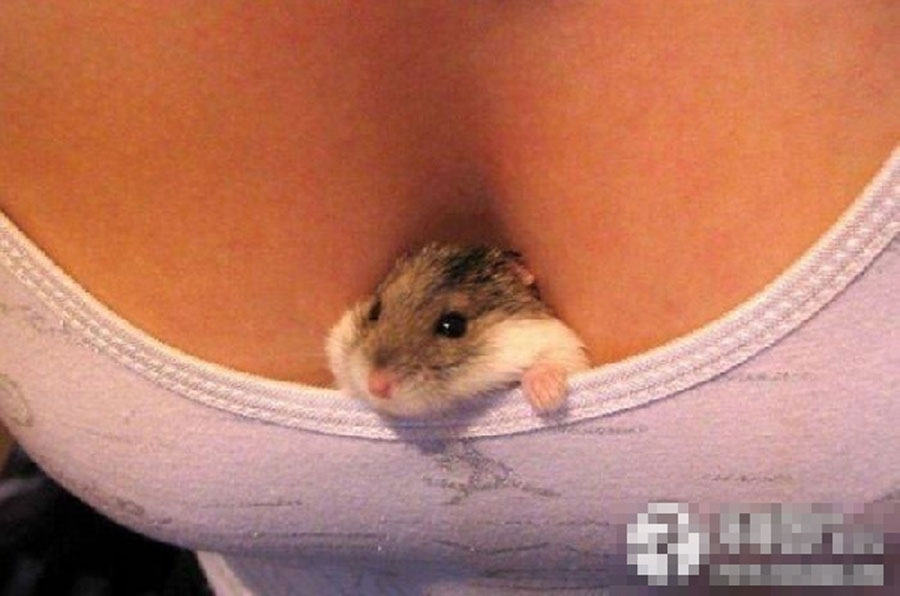 ���Ą���ǶY����Ů(�M�D)