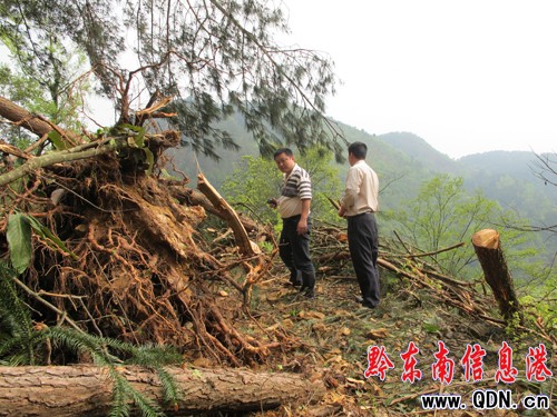 �����L(f��ng)�y��������u����ƽ���կ��1С�r(sh��)