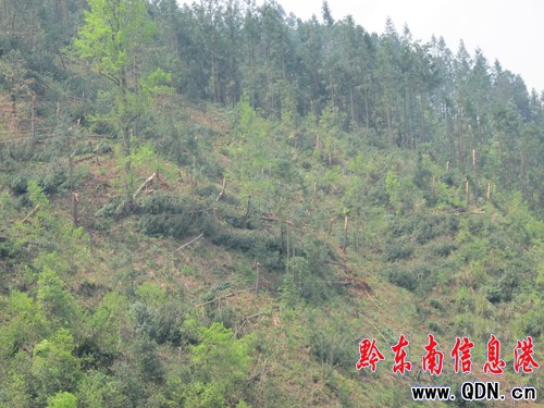 �����L(f��ng)�y��������u����ƽ���կ��1С�r(sh��)