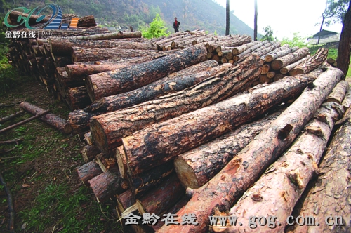 ��ɽ����^ ��������� �P���������������ȫ������