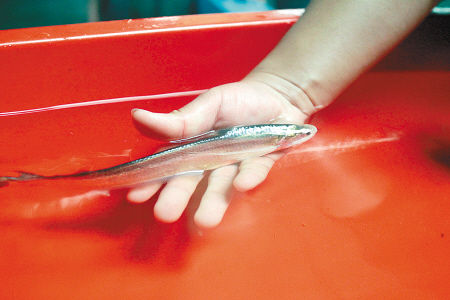 �D�鹤���ˆT�ڙz�����g���~���L��r��