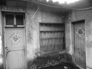 �B��ĸ�ļ� ����zӰ ��ѩ��