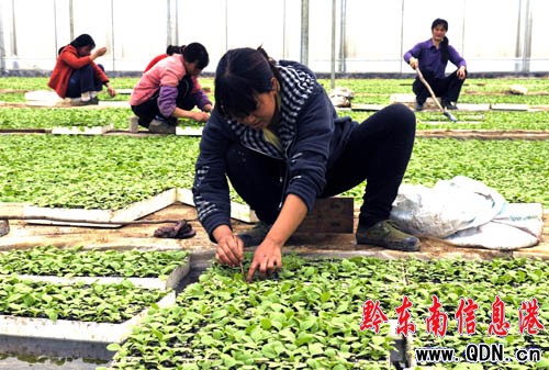 �얿h261348�P�����L�����ã������ڼ�