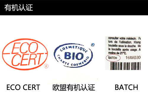 �c���M����һ�