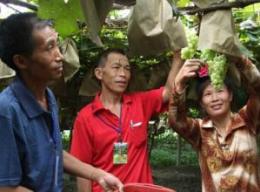 ��ɽ���ѷNֲ��105����������2.333�fԪ���D��