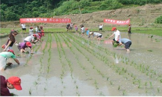 һ�����y�˷�֧Ԯ �R�ąf��������