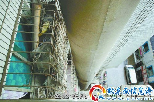 貴陽10余居民樓棲身橋下 樓頂幾乎挨著橋板(圖)