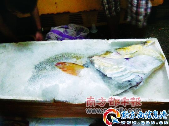 �@�l�S���~���_160��һ�����o�����¡������{���Ј󡷹��D