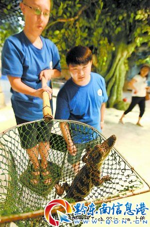 ����ˮ�جF�{�~