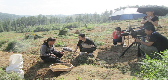 ��ҕ��ÿ���r������Ŀ�M��ǭ�|���Ĕz̫�Ӆ�