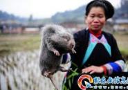 ����DŮ�Bֳ�����¸�