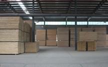 �F���A��ľ�I���޹�˾