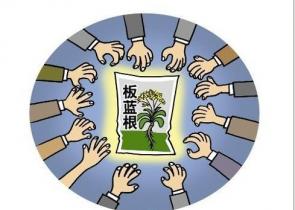 ������Σ����P���T���䮔���ƌW�������Ľ�ɫ