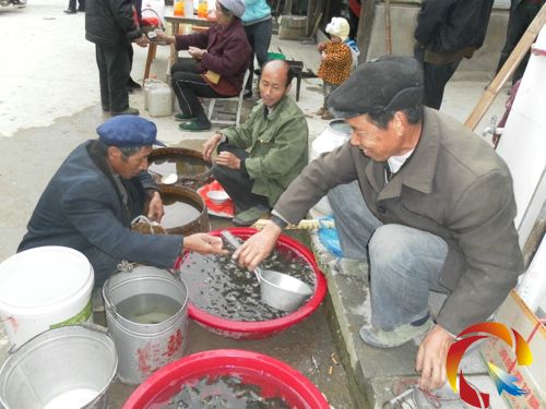 李必武出售魚苗的情景