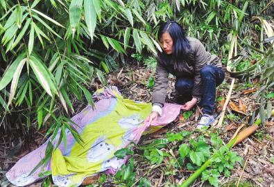 ���H����߶�ٝ�P�Ї�����Ȟĸ�Ч����