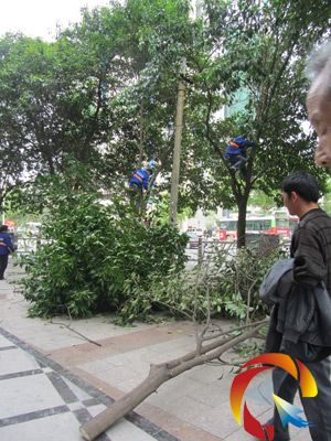 �����ˆT����䏘�֦