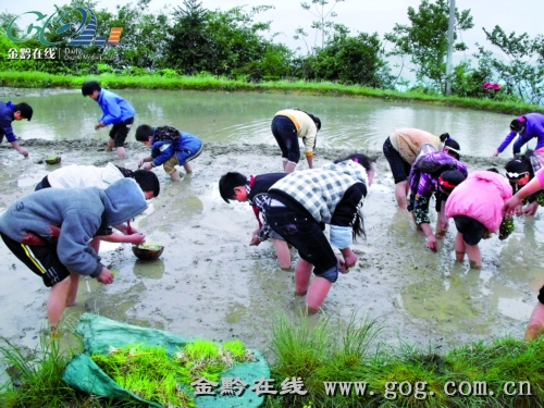 ���������ꡱ���������(du��)����Ӱ