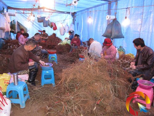 �D���r���ڻ��ش򹤌W������޽ӵĈ���