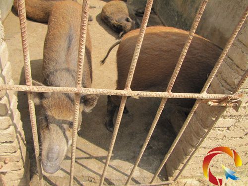 ����ǣ��x���MɽιҰ�i���±����B�¸�·���D��