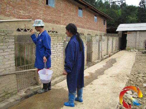 ����ǣ��x���MɽιҰ�i���±����B�¸�·���D��