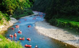 �_���h���ܺ�Ư������5��11���_Ư  �������M