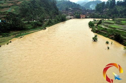 樹木和田地被淹
