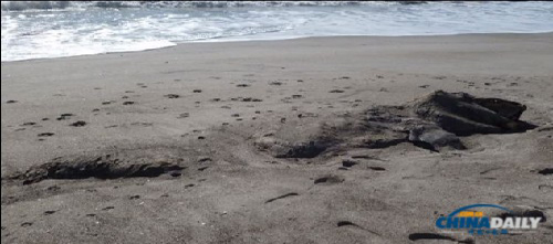 “海怪”的大部分尸身都不見了