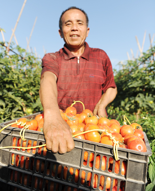 ����һ��M�M�����t����������Ę��¶��������Ц��