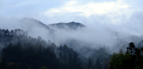 �D���\���h��`�l��կ�徳�ȵ��ֺ��ɾ�