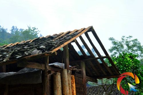 ��Ƭ�����_