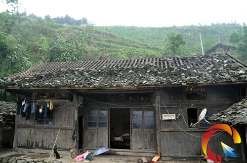 ���Ʒ������ϵ���Ƭֻ��ԭ��һ��