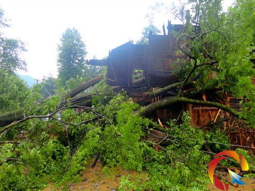 �D����ľ����ס����