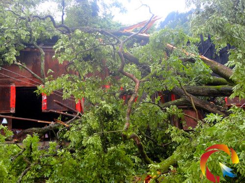 �D����ľ����ס����