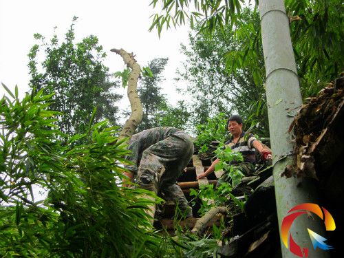 �D��ɲ����M�Оĺ��ؽ�