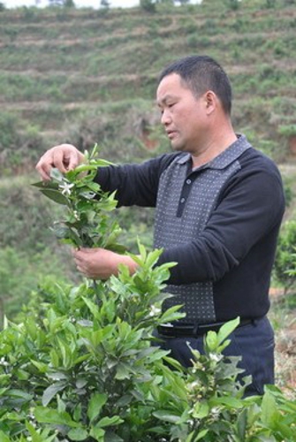 ����������㸣