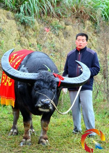 ţ���d�u�w�����Y�ψD��