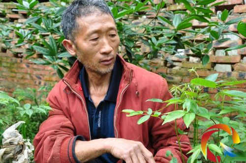 �ˆ������������X������