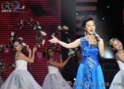 2010�������Ͷ����������F�ݡ�СƷ��ِ�C��ʢ�䣨�ϣ�