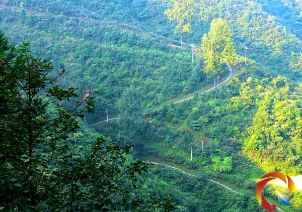 �t܊���^�㶴�¹��A��