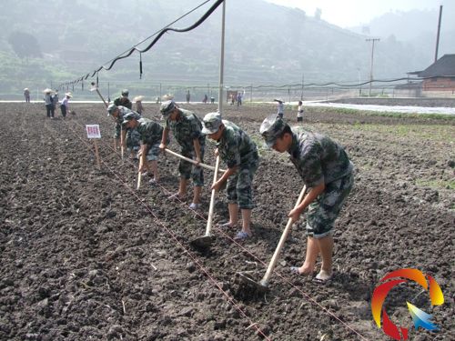 ����ƽ��