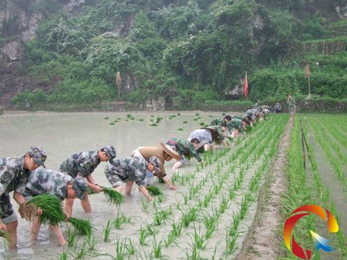 ����܊�Ҍٺ�ؚ��Ⱥ���N�������