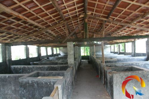 �D�����i�Bֳ�˜�Ȧ��Ȳ�