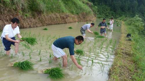 �ɲ��´�����r���r�r