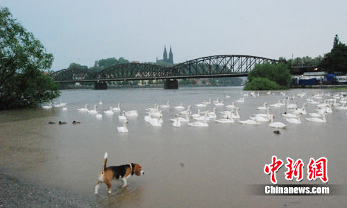 �����ˆT�ڲ�����10�^�o�����ϲ�Ϫ߅һ�������o��Ժ����ɳ ���ѷe�ē�ˮ��