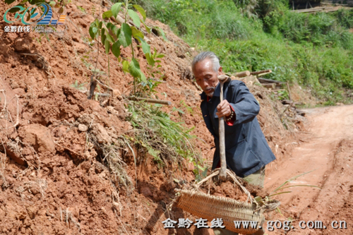 ������ެ����������·